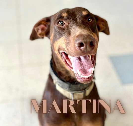 Photo of Martina