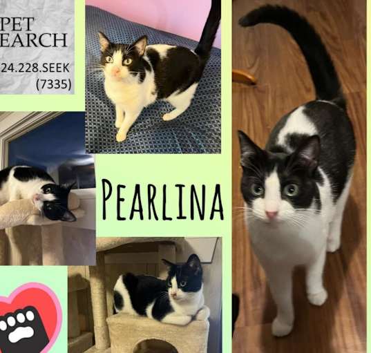 Photo of Pearlina