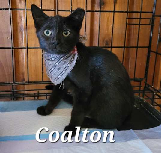 Photo of Coalton