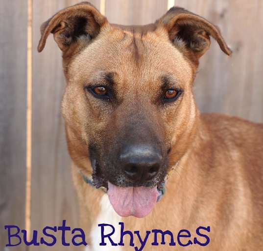 Photo of Busta Rhymes (River)