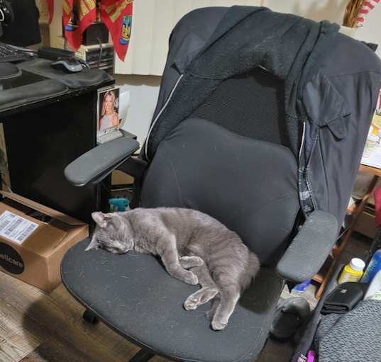 Photo of Smokey
