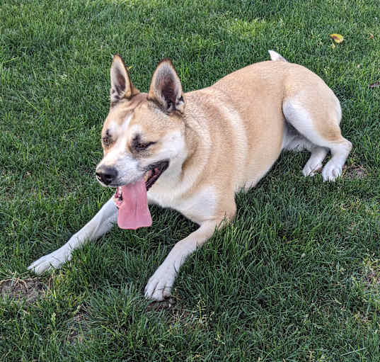 Photo of Dakota