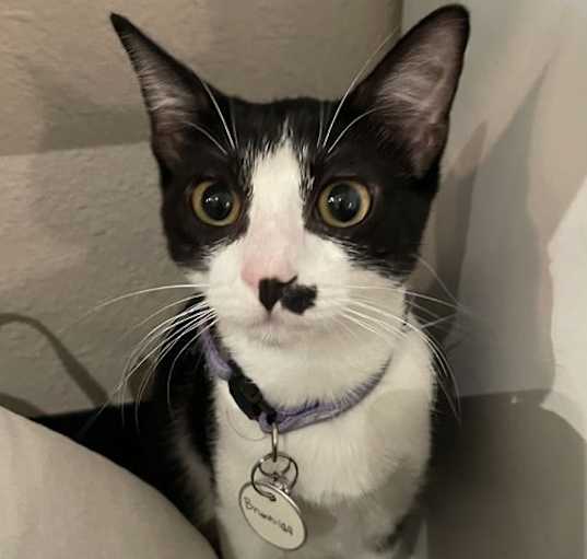 Photo of Brunhilda