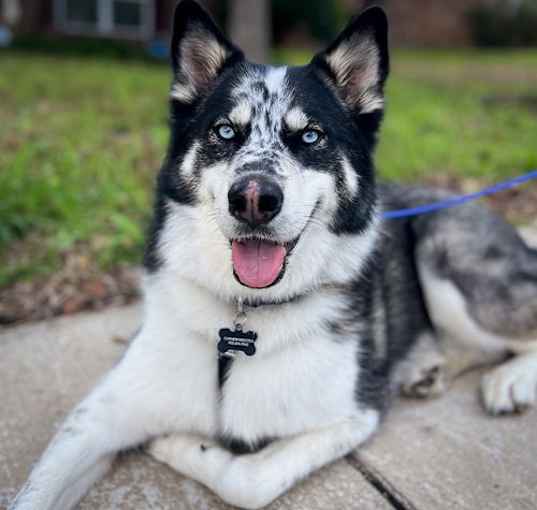 Photo of Kai (New Digs)