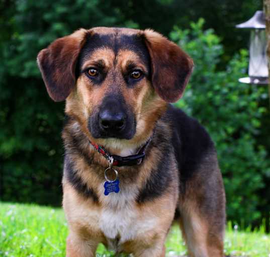 Photo of Poco