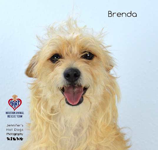 Photo of Brenda