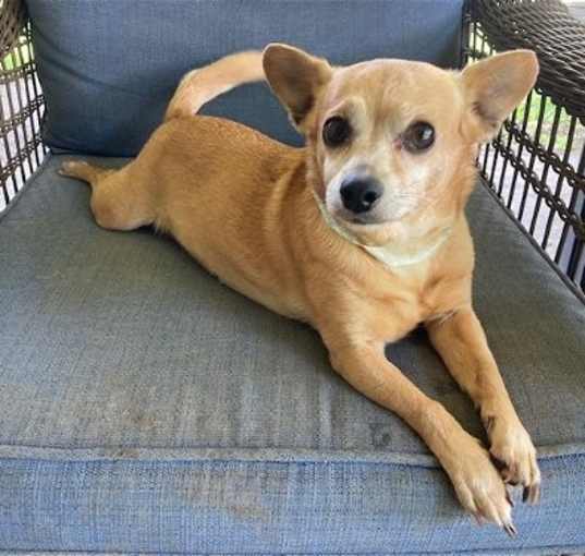Photo of Gabby