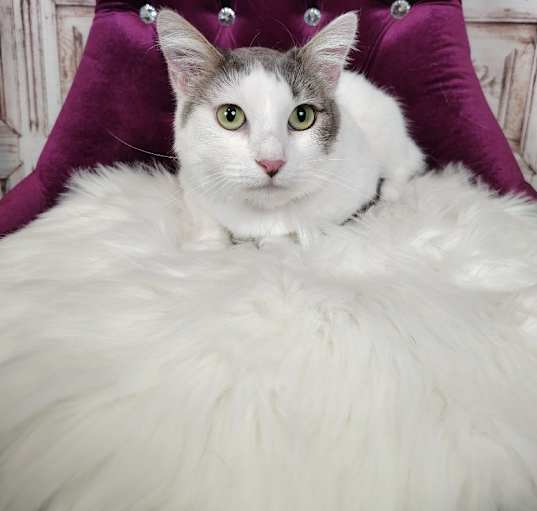 Photo of Maya