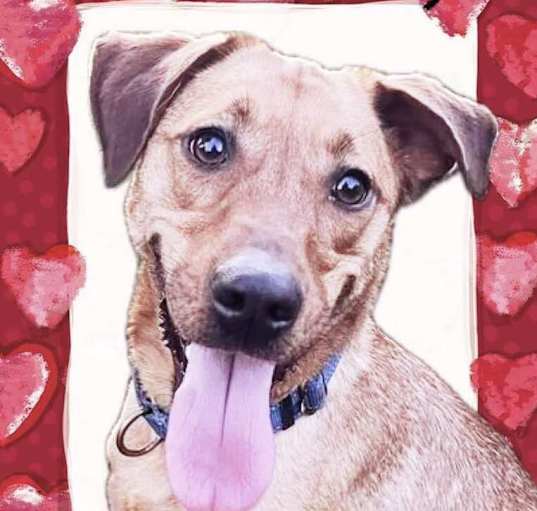 Photo of Skye