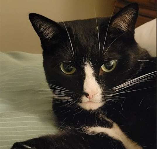 Photo of Sally