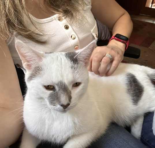 Photo of Snowy