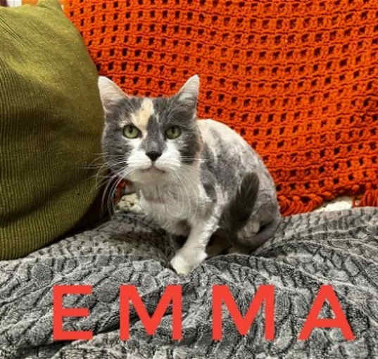 Photo of Emma