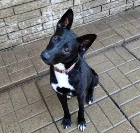 Photo of Libby