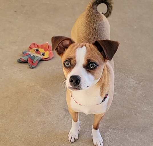 Photo of Ginny