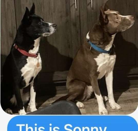 Photo of Sonny and Cher