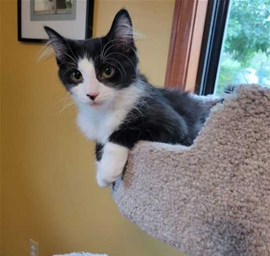 Photo of Minnie