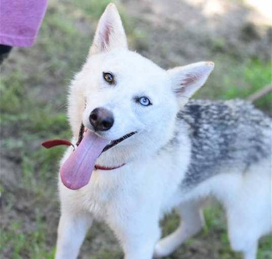 Photo of Delilah