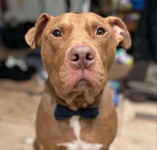 Photo of Wilson