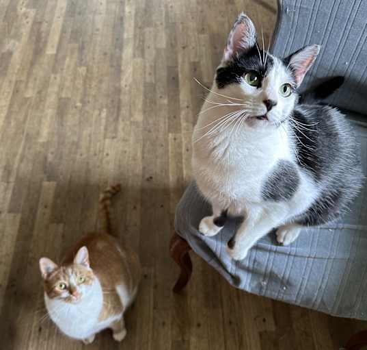 Photo of Door greeters Mike & Bob