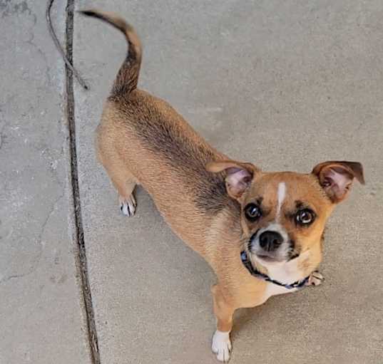 Photo of Roxi