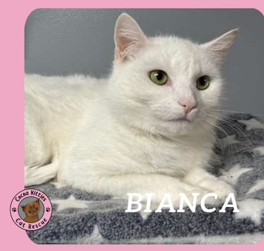 Photo of Bianca