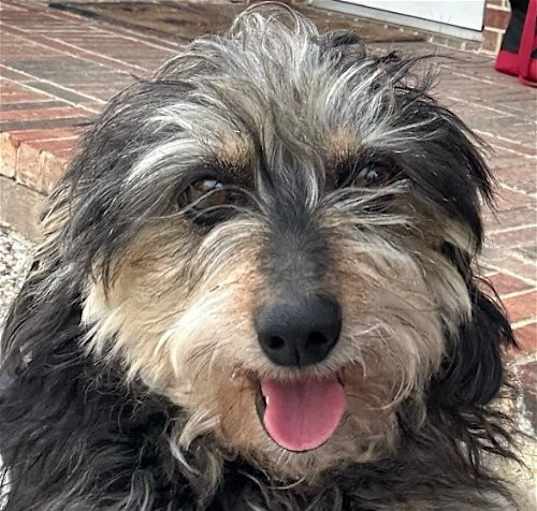 Photo of Juliette