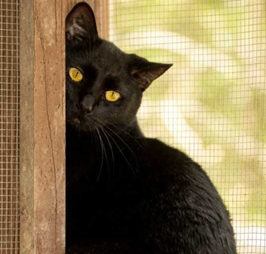 Photo of Katrina