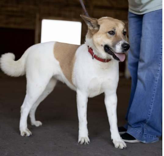 Photo of Holly