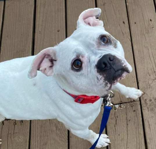 Photo of Ghost