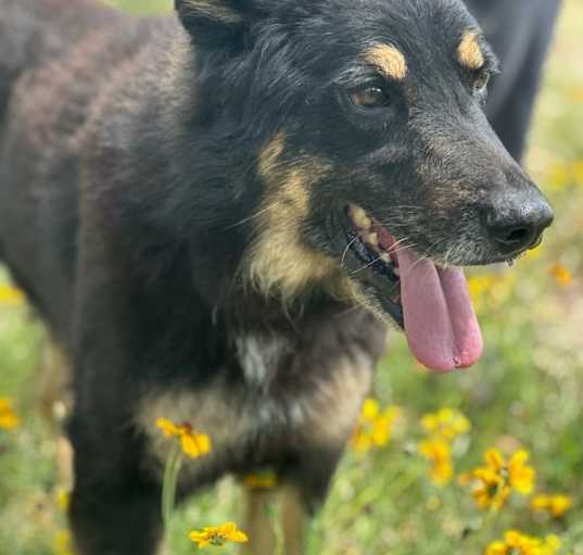 Photo of Max