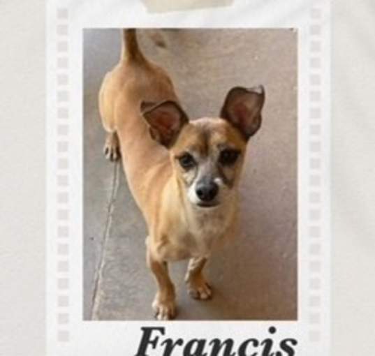 Photo of Francis