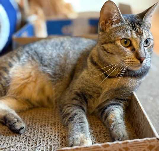 Photo of Buttons