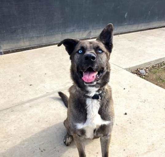 Photo of ACE