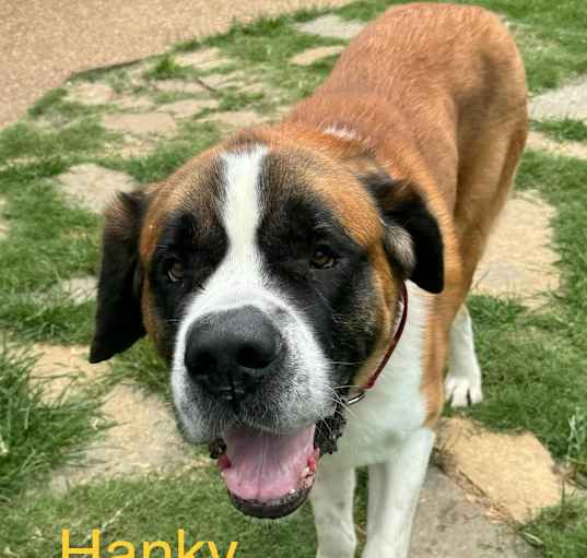 Photo of Hanky Panky