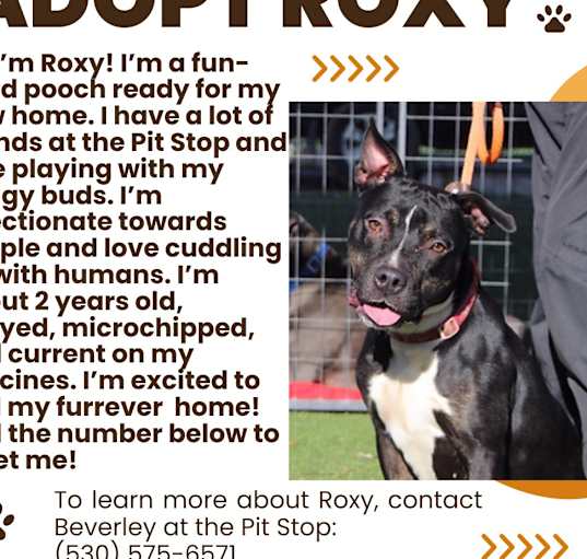 Photo of Roxy