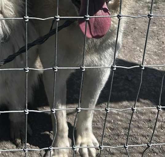 Photo of Kuiu/Mia