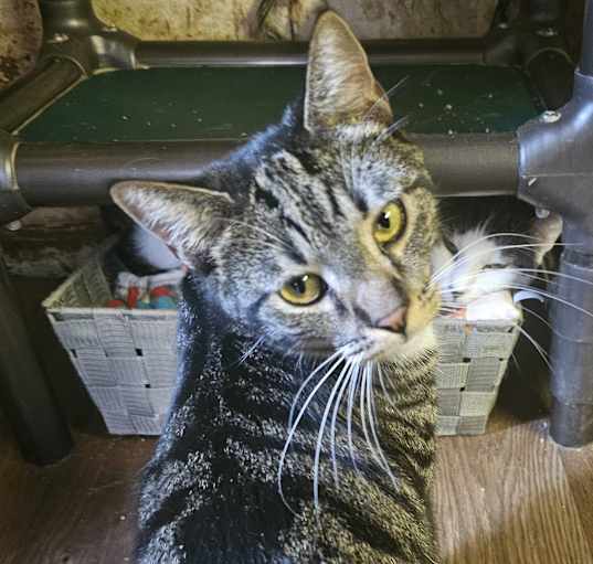 Photo of Mabel