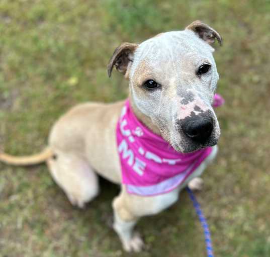 Photo of Skye
