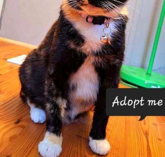 Photo of Junie B