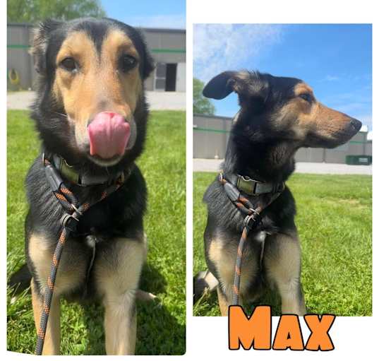 Photo of Max