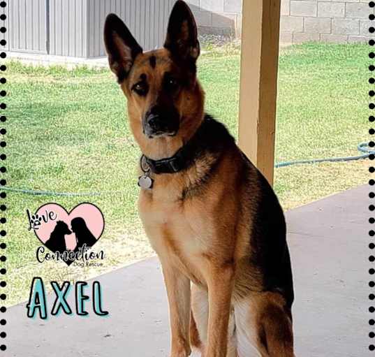 Photo of Axel