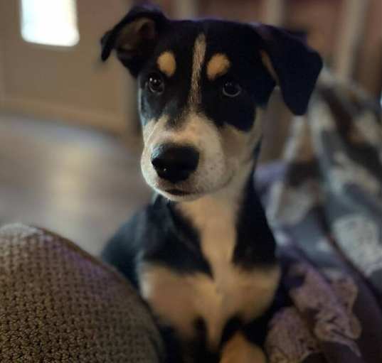Photo of Gavin