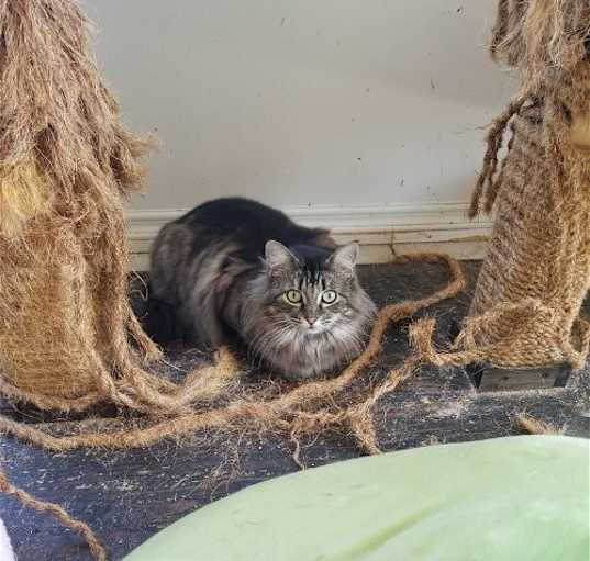 Photo of Mia