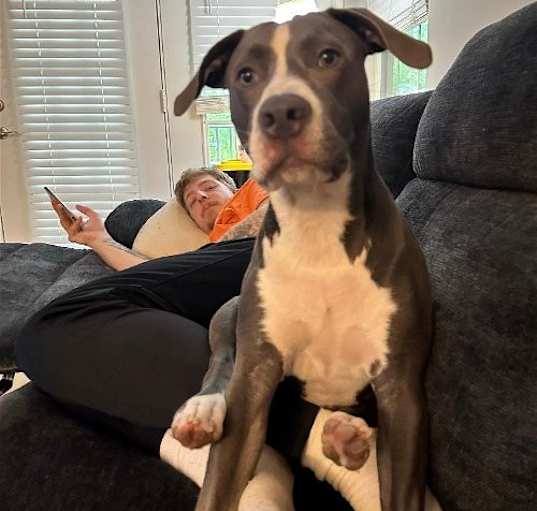 Photo of Chase