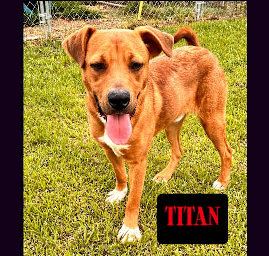 Photo of Titan