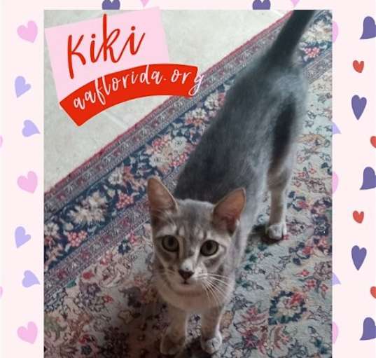 Photo of Kiki