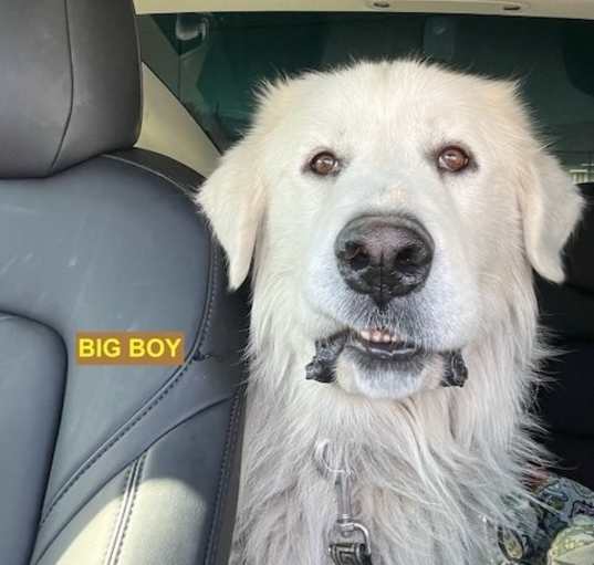 Photo of Big Boy