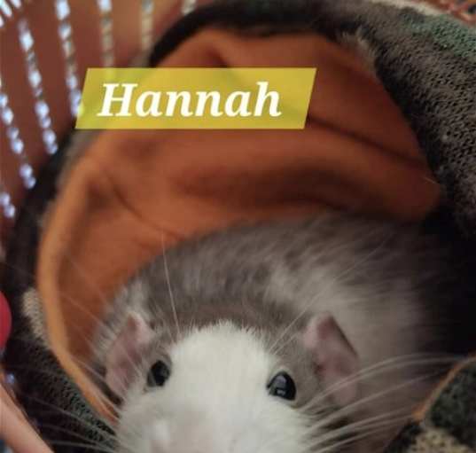 Photo of Hannah