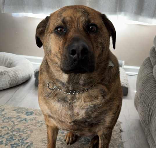 Photo of Cooper