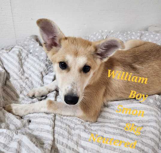 Photo of William